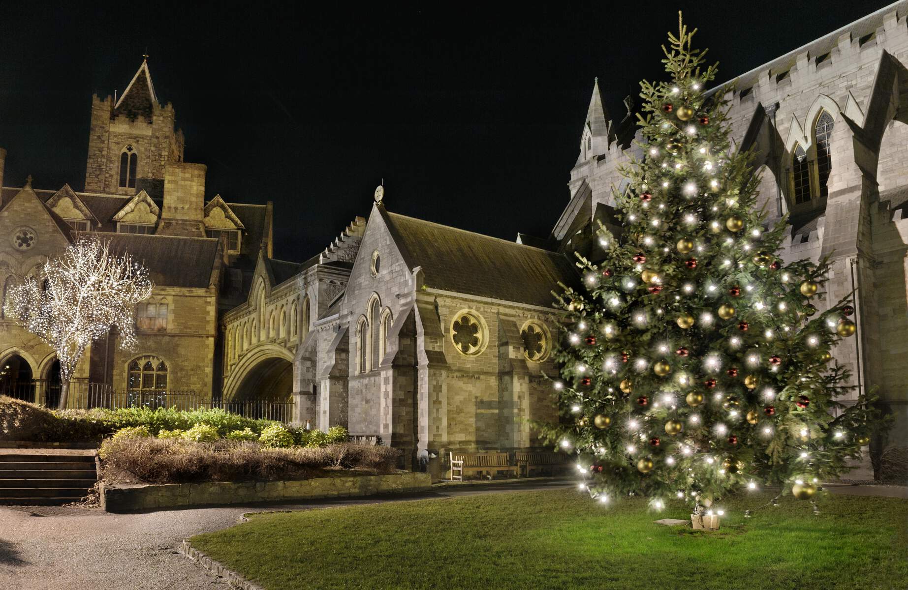 Christ Church Cathedral in Dublin City decorated with Christmas lights and decorations at night