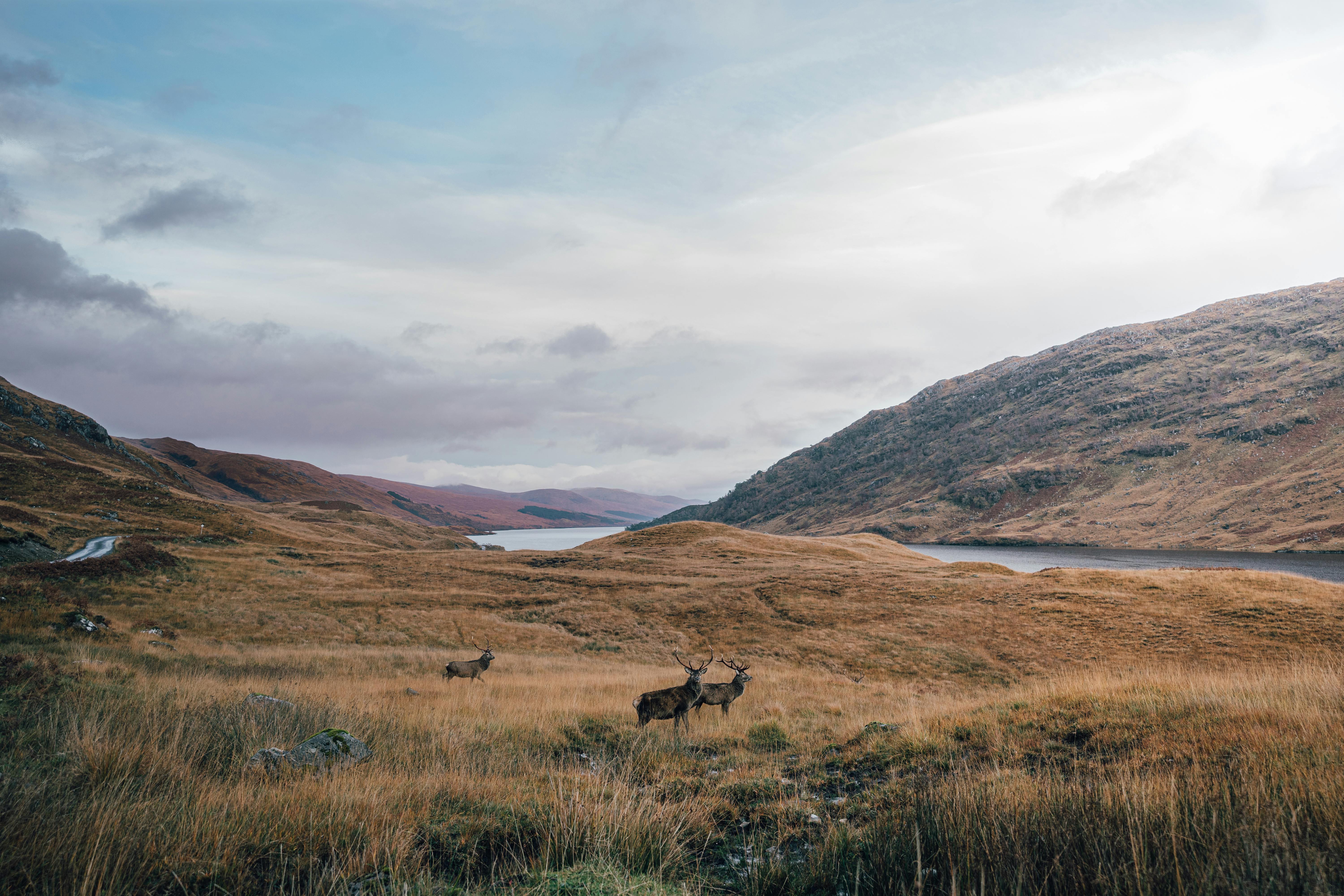 Breathtaking Glencoe valley in the Scottish Highlands, surrounded by majestic mountains, lush greenery, and a serene loch, showcasing Scotland's natural beauty. 